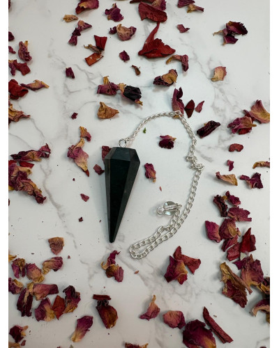 Péndulo de Shunguita