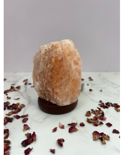 Lámpara sal del Himalaya