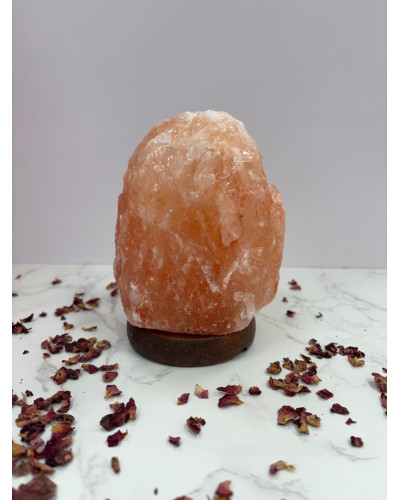 Lámpara de sal del Himalaya