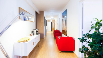 Urna pretium elit mauris cursus Curabitur at elit Vestibulum Urna pretium elit mauris cursus Curabitur at elit Vestibulum